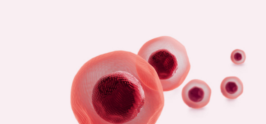 CGBios NOVOSIS PUTTY Attains FDA Breakthrough Device Designation, Paving the Way for Expedited Entry into the US Market